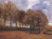 Vincent Van Gogh, Autumn Landscape (nn04)